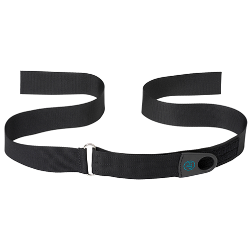 Bodypoint Chest Belt 2"