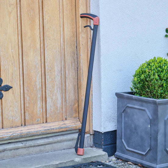 Freestyle Grab and Go Walking Stick