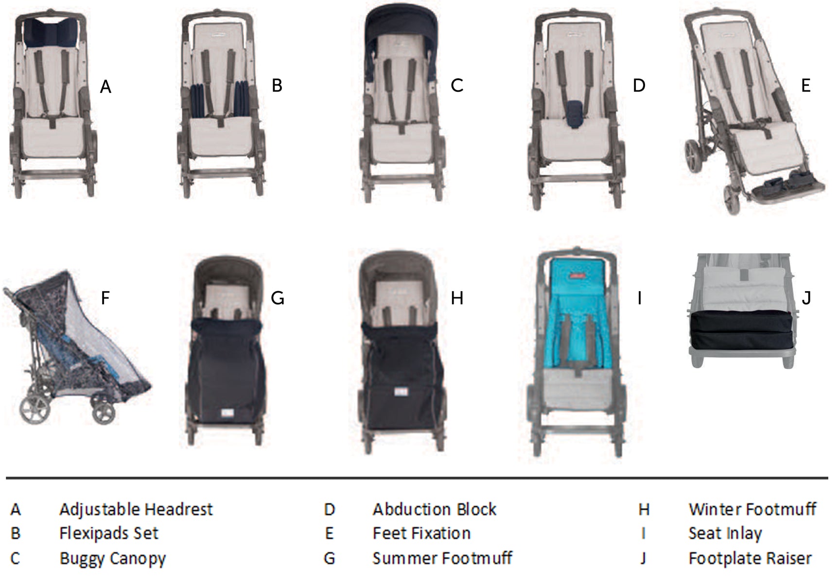 Patron Piper Comfort Buggy