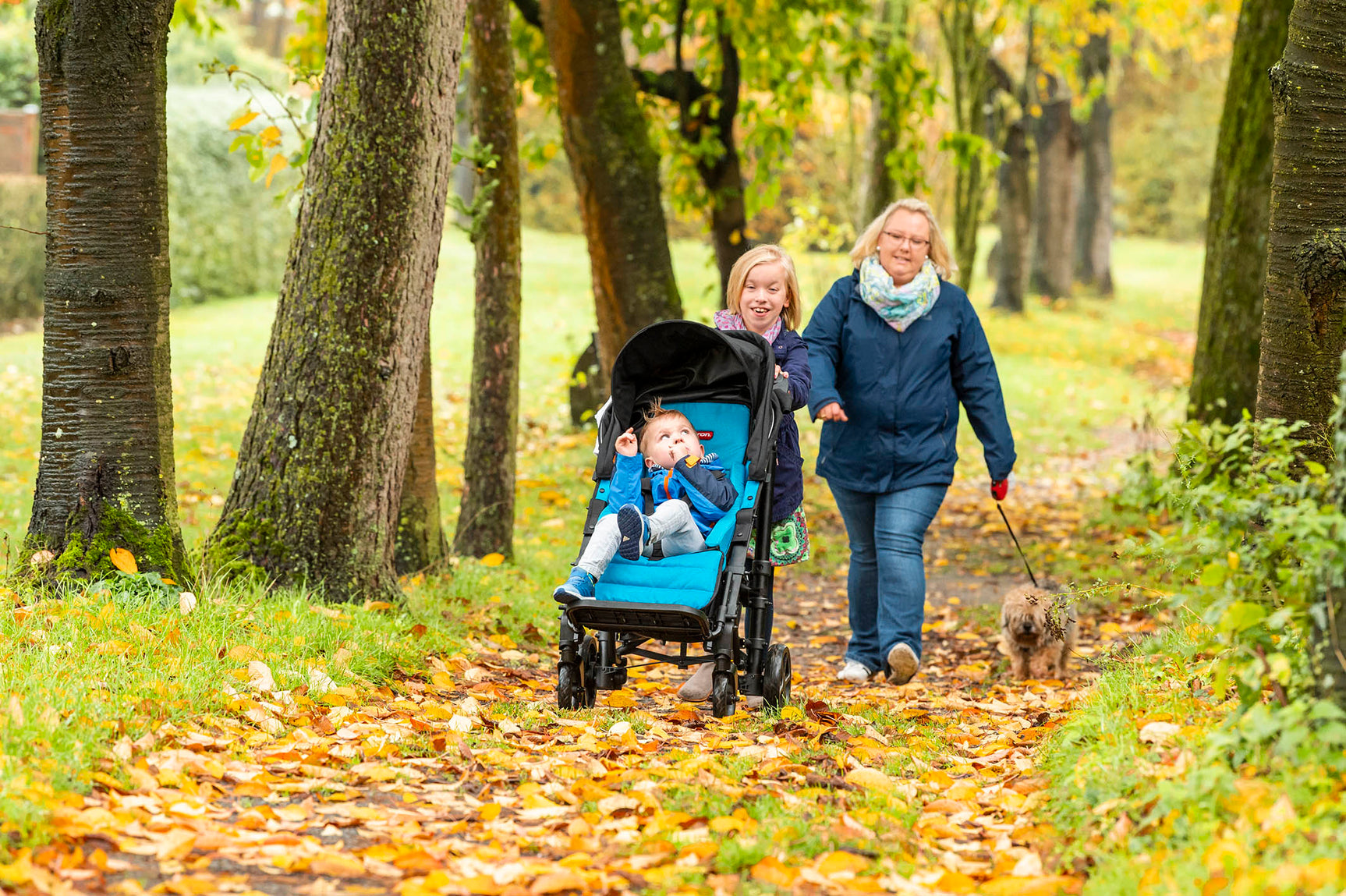 Patron Piper Classic Buggy Canopy