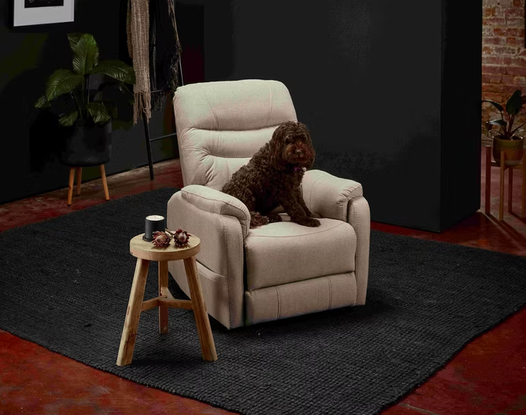 Pride Theorem Alperton (Petite) Power Lift Chair