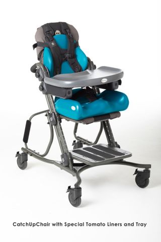 Special Tomato CatchUp Chair