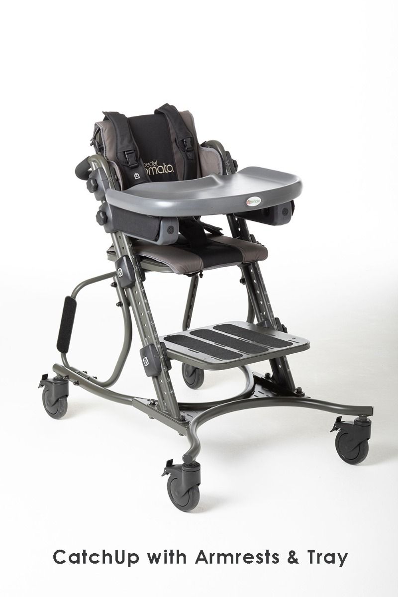 Special Tomato CatchUp Chair