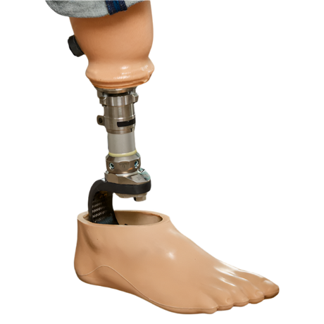 Allard Meracus Foot Shell