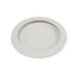 Parsons Inner Lip Plate